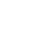 summerlane.logo